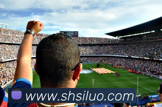奖项证书
